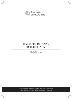 Vesicular trafficking in osteoclasts