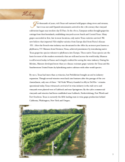 History - Texas Wine and Grape Growers Association