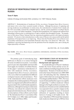 as a PDF