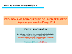 ECOLOGY AND AQUACULTURE OF LINED SEAHORSE