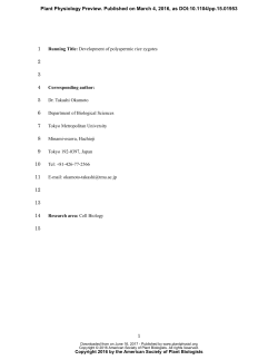 Development of polyspermic rice zygotes produced in vitro