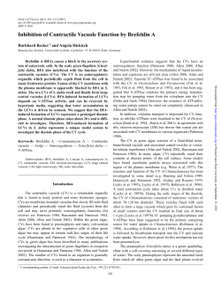 Inhibition of Contractile Vacuole Function by Brefeldin A