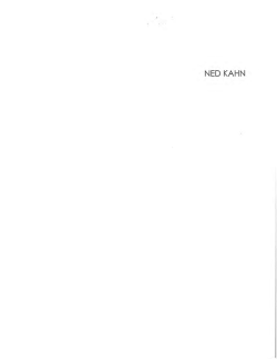Ned Kahn - Salt Lake City Weekly