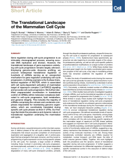 The Translational Landscape of the Mammalian Cell Cycle