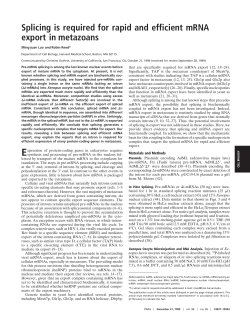 Splicing is required for rapid and efficient mRNA export