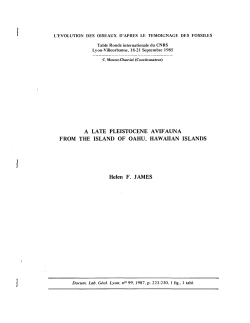 A late Pleistocene avifauna from the island of Oahu, Hawaiian Islands