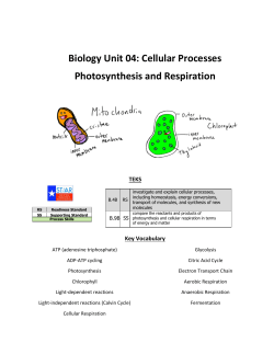 Biology Unit 04: Cellular Processes Photosynthesis and Respiration