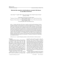 Rickettsia-like-organisms and phytoplasmas associated with