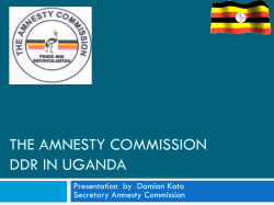 the amnesty commission