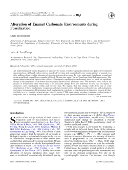 Alteration of Enamel Carbonate Environments during Fossilization
