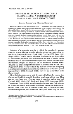 NEST-SITE SELECTION BY MEW GULLS (LARUS CANUS): A