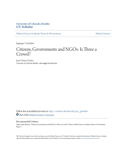 Citizens, Governments and NGOs: Is Three a Crowd?