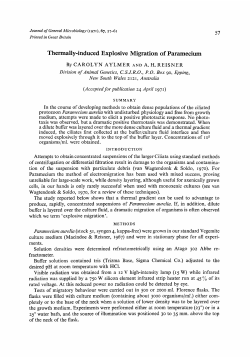 Thermally-induced Explosive Migration of Paramecium