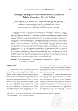 Modeling the Binding and Inhibition Mechanism of Nucleotides and