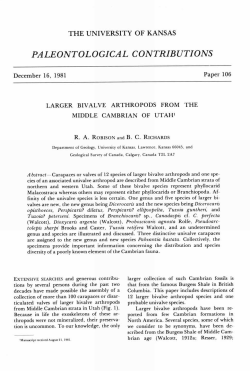 Lower resolution PDF - KU ScholarWorks