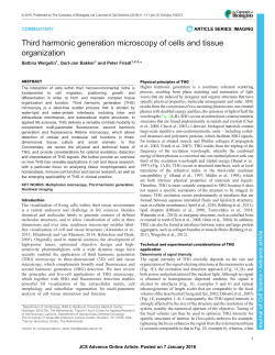 Third harmonic generation microscopy of cells and tissue organization