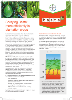 Basta&reg; Effective Application in Plantation Crops User Guide