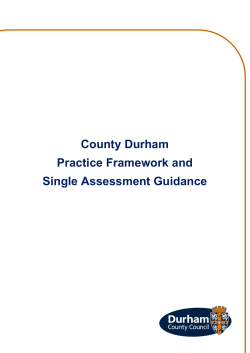 Single Assessment Guidance