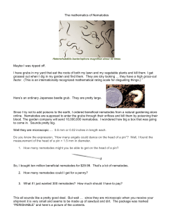 The mathematics of Nematodes Maybe I was ripped