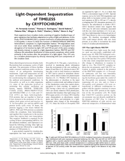 Light-Dependent Sequestration of TIMELESS by CRYPTOCHROME
