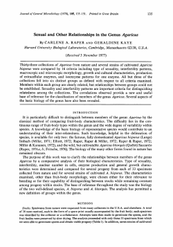 Sexual and Other Relationships in the Genus Agaricus