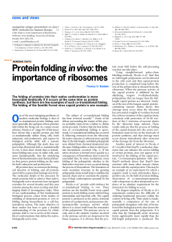 Protein folding in vivo: the importance of ribosomes