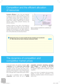 Competition and the efficient allocation of resources The dynamics
