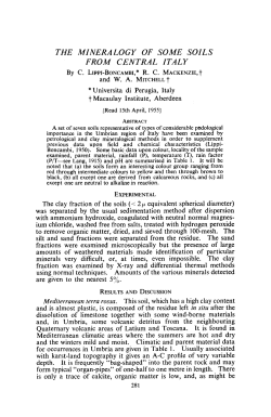 THE MINERALOGY OF SOME SOILS FROM CENTRAL ITALY