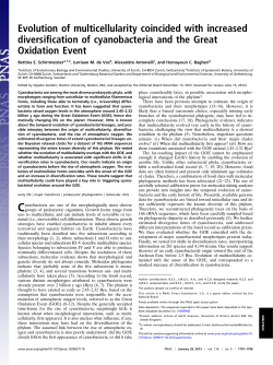 - THE ANTONELLI LAB
