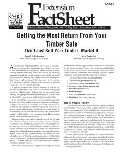 Getting the Most Return From Your Timber Sale