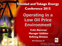 Operating in a Low Oil Price Environment