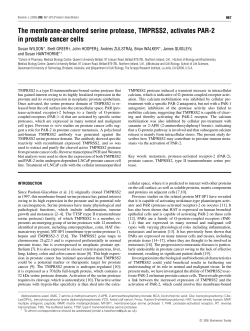 The membrane-anchored serine protease, TMPRSS2, activates