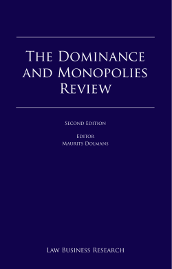 The Dominance and Monopolies Review