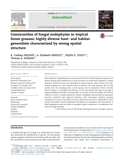 Communities of fungal endophytes in tropical