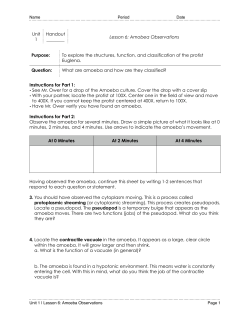 H32-Amoeba Observations