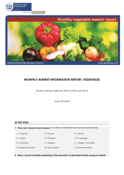 monthly market information report: vegetables