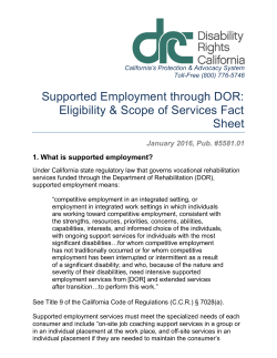 Supported Employment through DOR
