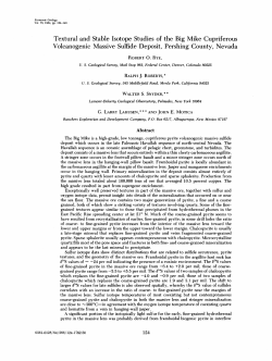 Textural and Stable Isotope Studies of the Big Mike