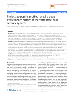 Phylostratigraphic profiles reveal a deep evolutionary