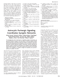 Astrocytic Purinergic Signaling Coordinates Synaptic Networks