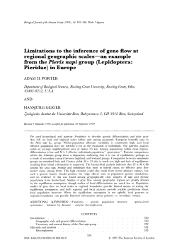 Limitations to the inference of gene flow at
