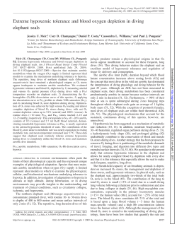 Extreme hypoxemic tolerance and blood oxygen depletion in diving