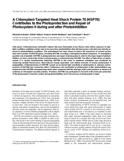 A Chloroplast-Targeted Heat Shock Protein 70 (HSP70) Contributes