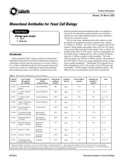 Monoclonal Antibodies for Yeast Cell Biology