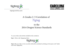 tigtagcarolina.com