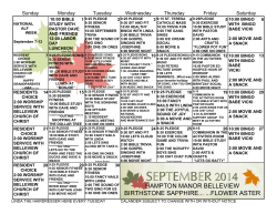 hampton manor belleview birthstone sapphire... ...flower aster