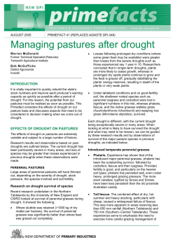 Managing pastures after drought (Primefact 41)
