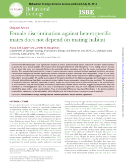 Female discrimination against heterospecific mates does not