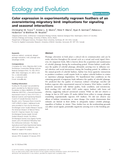 Color expression in experimentally regrown feathers of an