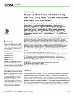 Large-Scale Phenomics Identifies Primary and Fine